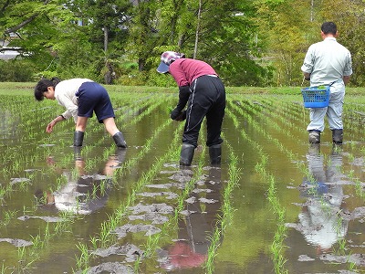 20090505taue.jpg