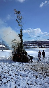 20110116tondo5.jpg